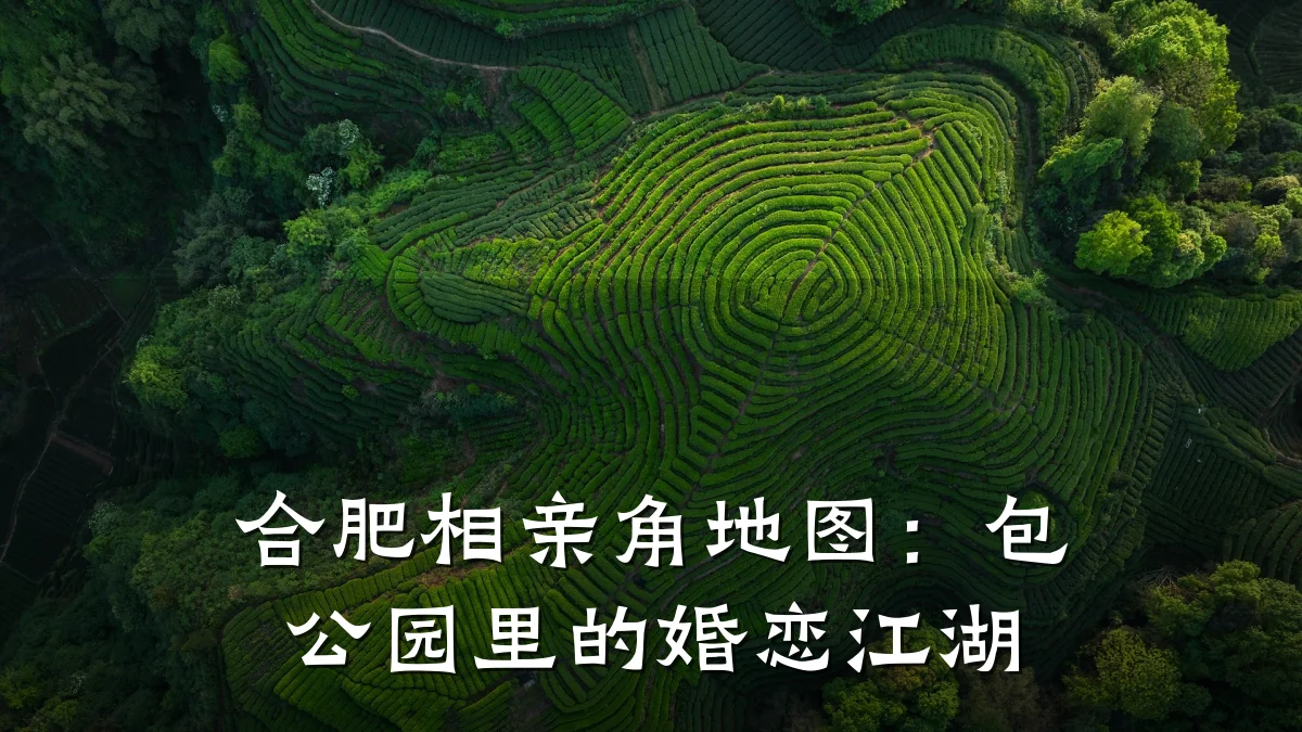 合肥相亲角地图:包公园里的婚恋江湖