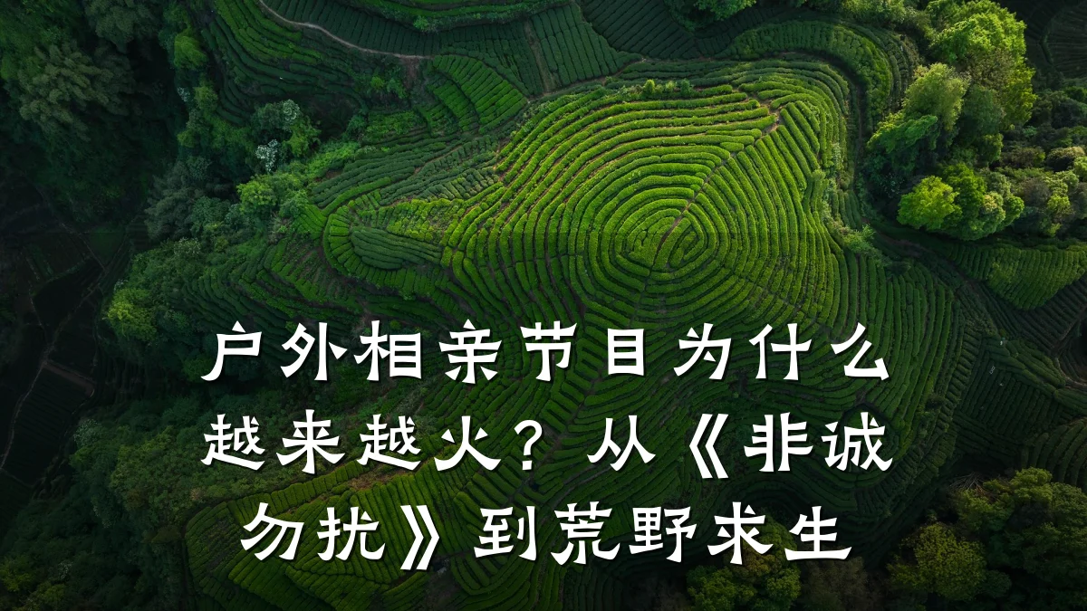 户外相亲节目为什么越来越火?从《非诚勿扰》到荒野求生