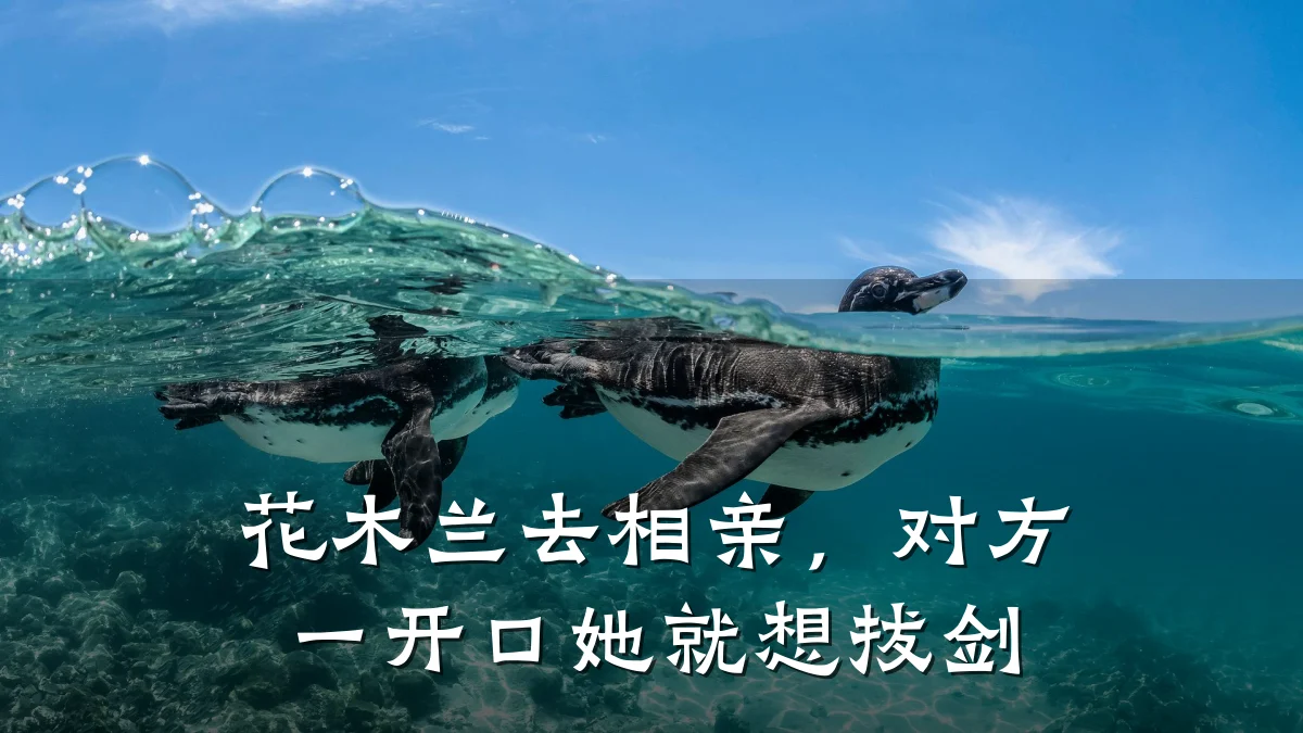 花木兰去相亲,对方一开口她就想拔剑