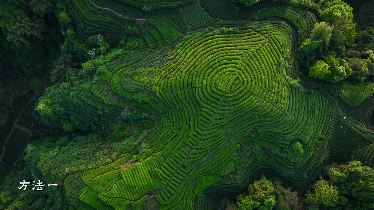 方法一