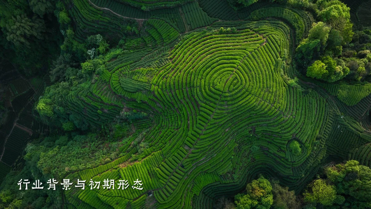 行业背景与初期形态
