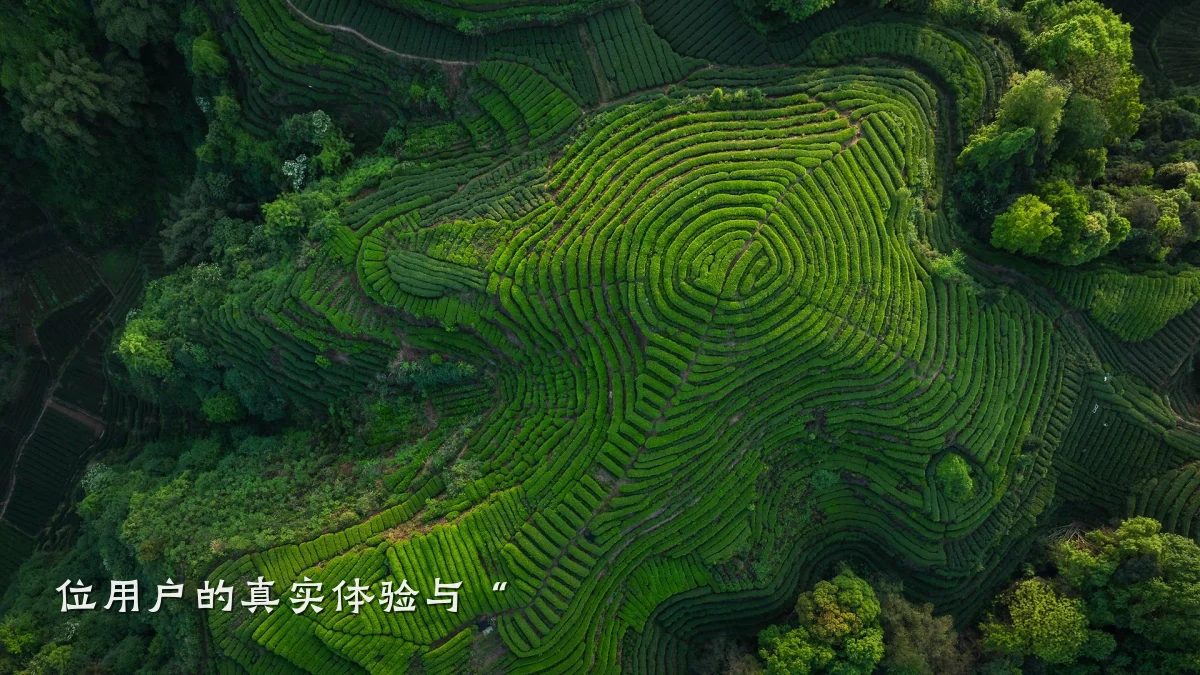 位用户的真实体验与“