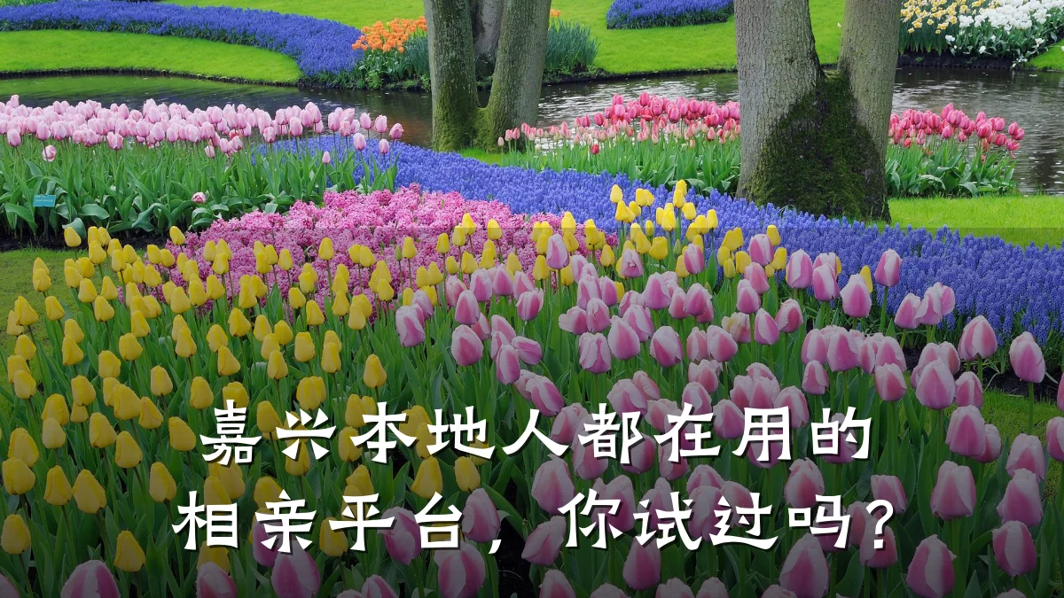 嘉兴本地人都在用的相亲平台,你试过吗?