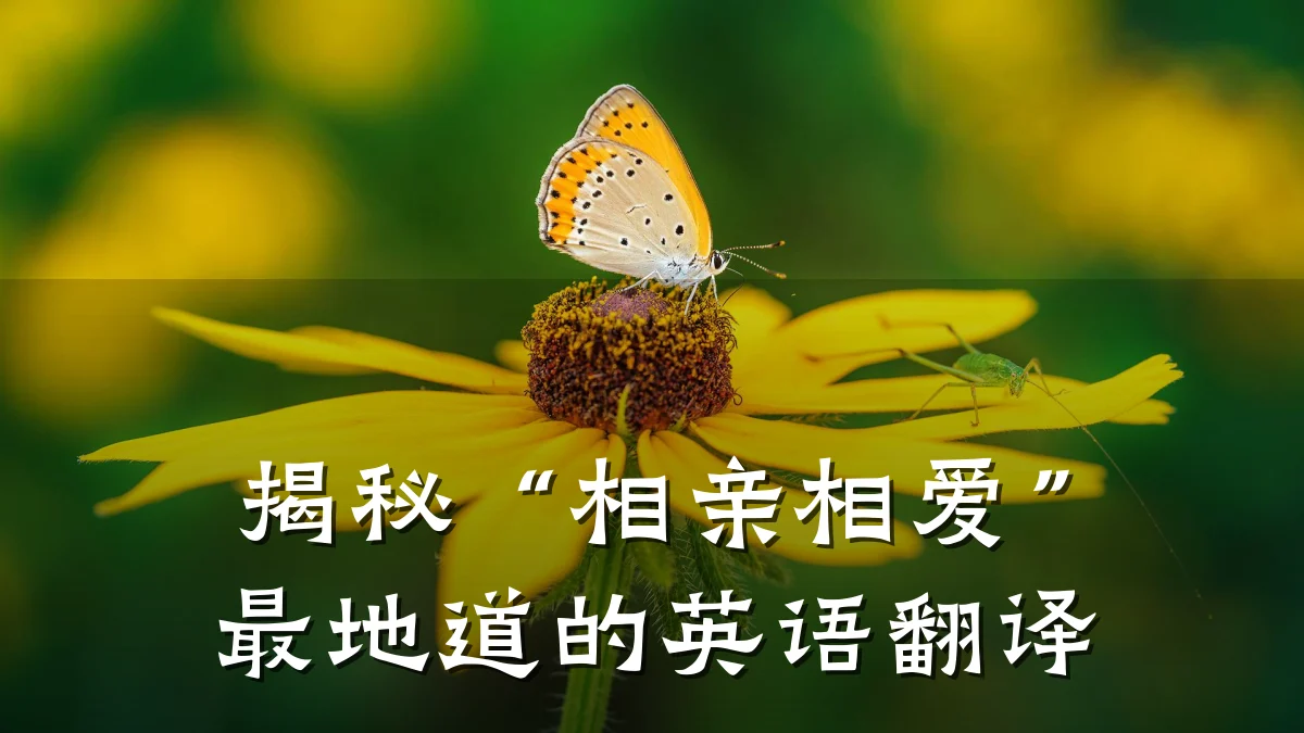 揭秘“相亲相爱”最地道的英语翻译
