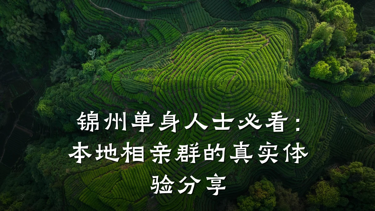锦州单身人士必看:本地相亲群的真实体验分享