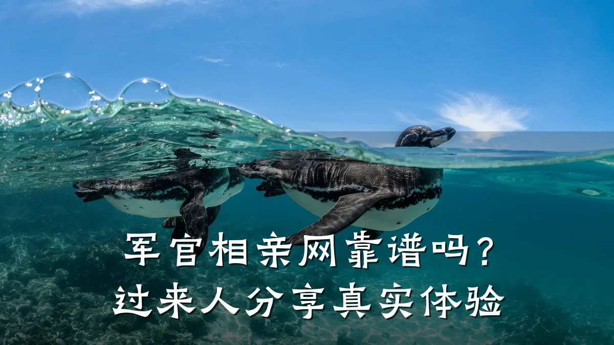 军官相亲网靠谱吗?过来人分享真实体验