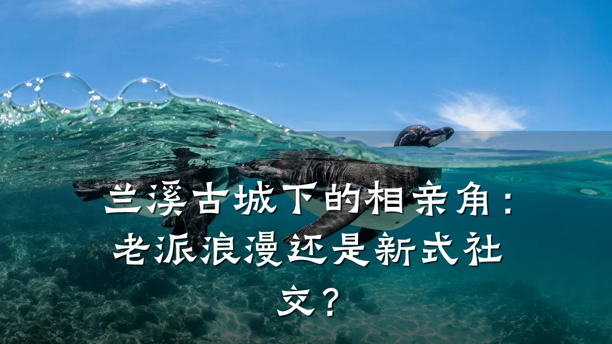 兰溪古城下的相亲角:老派浪漫还是新式社交?