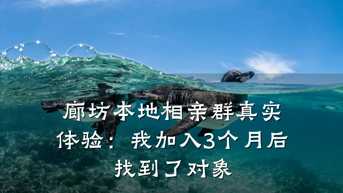 廊坊本地相亲群真实体验:我加入3个月后找到了对象