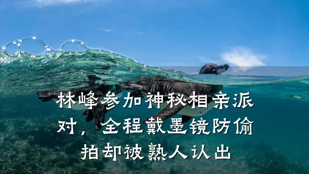 林峰参加神秘相亲派对,全程戴墨镜防偷拍却被熟人认出