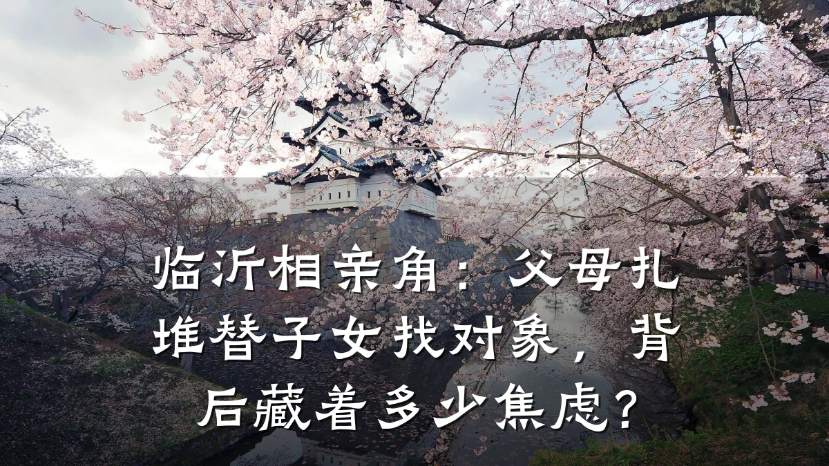 临沂相亲角:父母扎堆替子女找对象,背后藏着多少焦虑?