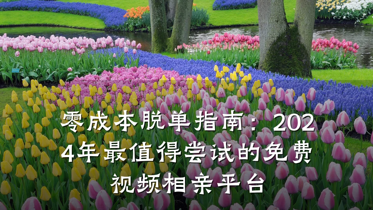零成本脱单指南:2024年最值得尝试的免费视频相亲平台