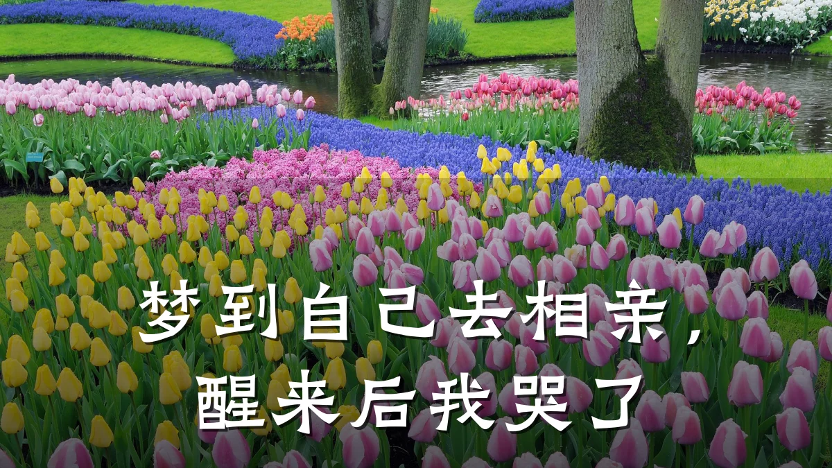 梦到自己去相亲,醒来后我哭了