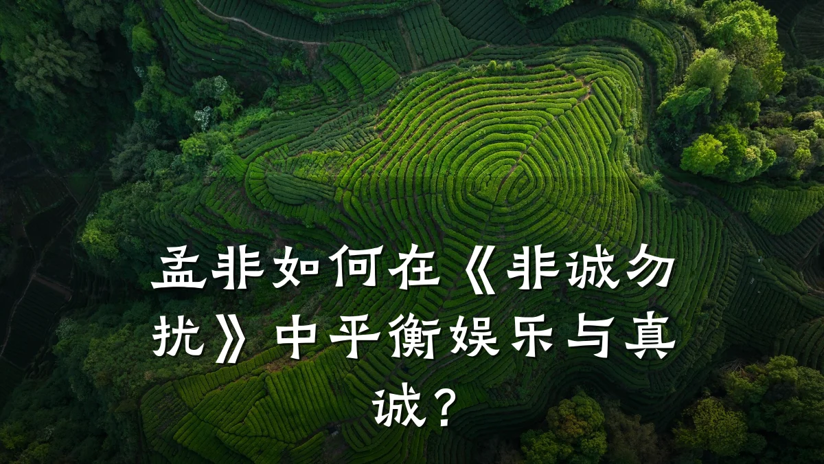 孟非如何在《非诚勿扰》中平衡娱乐与真诚?
