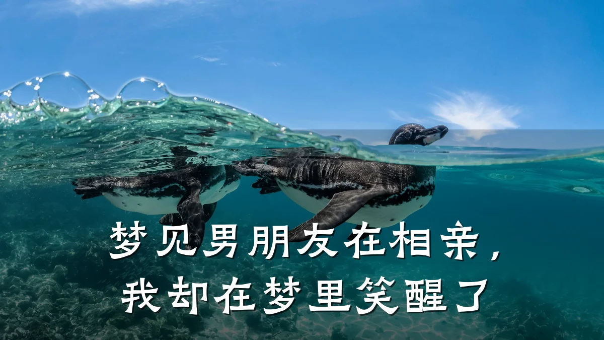 梦见男朋友在相亲,我却在梦里笑醒了