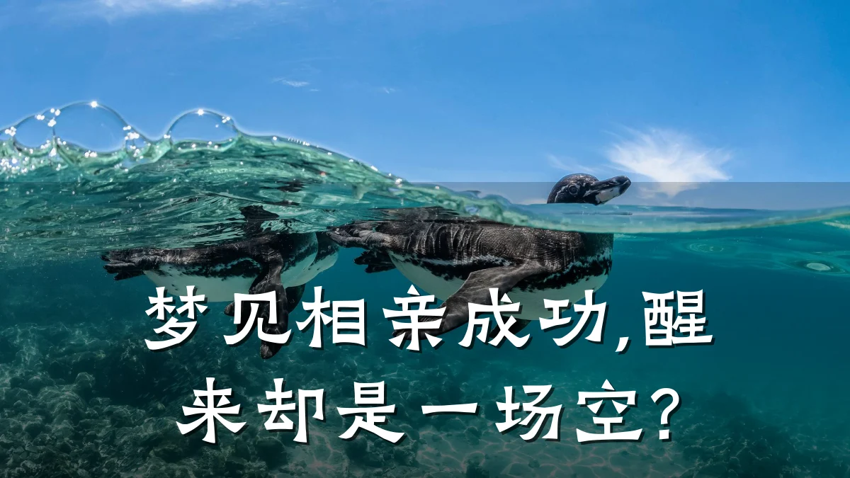 梦见相亲成功,醒来却是一场空?