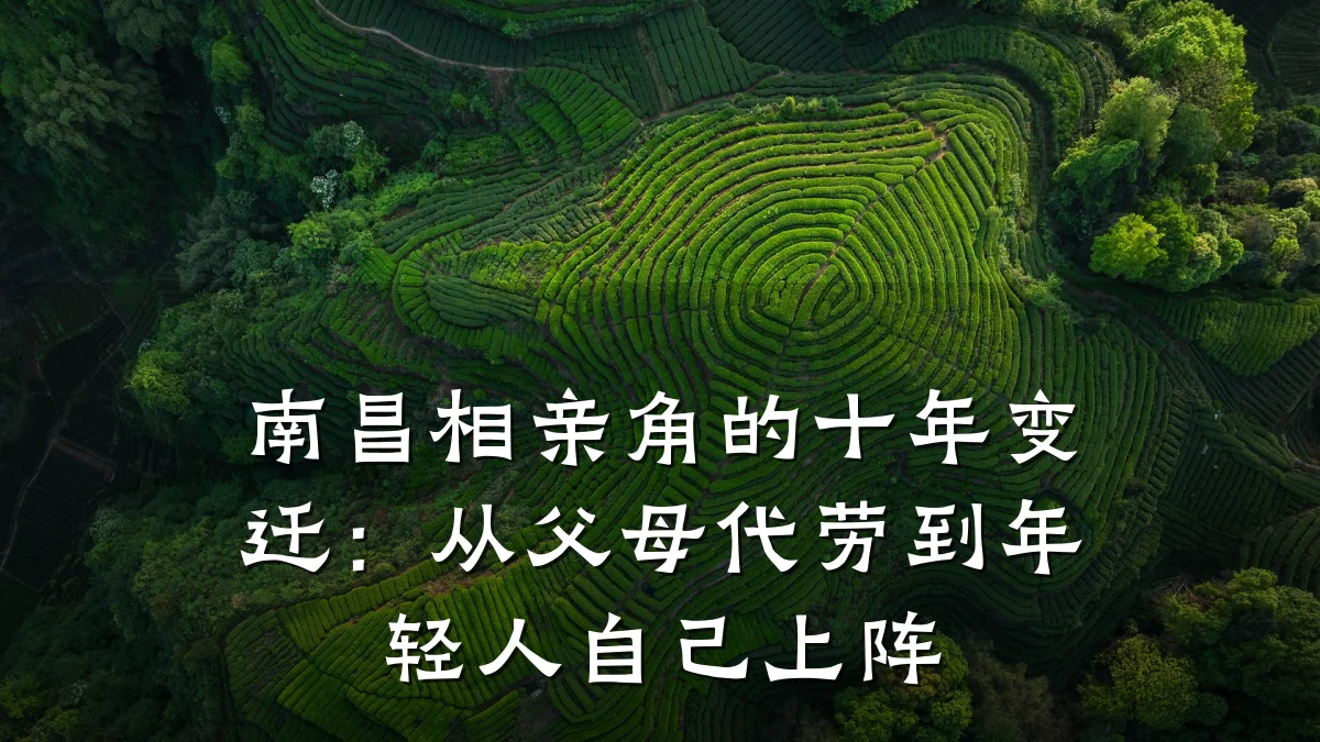 南昌相亲角的十年变迁:从父母代劳到年轻人自己上阵