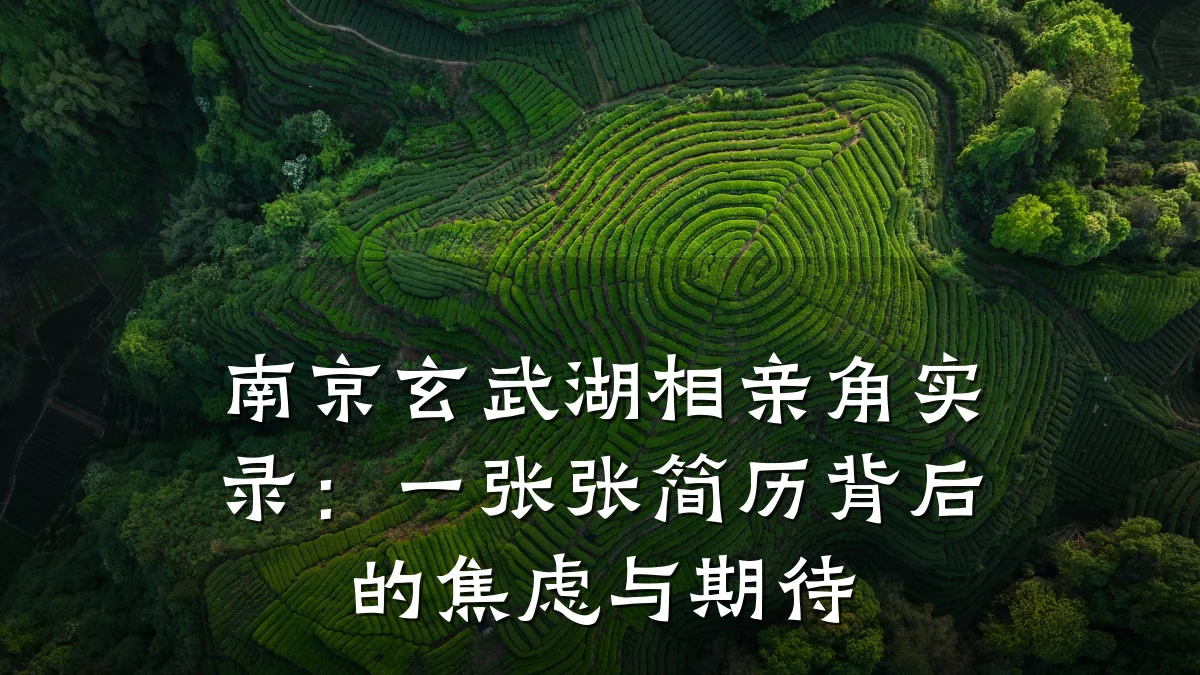 南京玄武湖相亲角实录:一张张简历背后的焦虑与期待