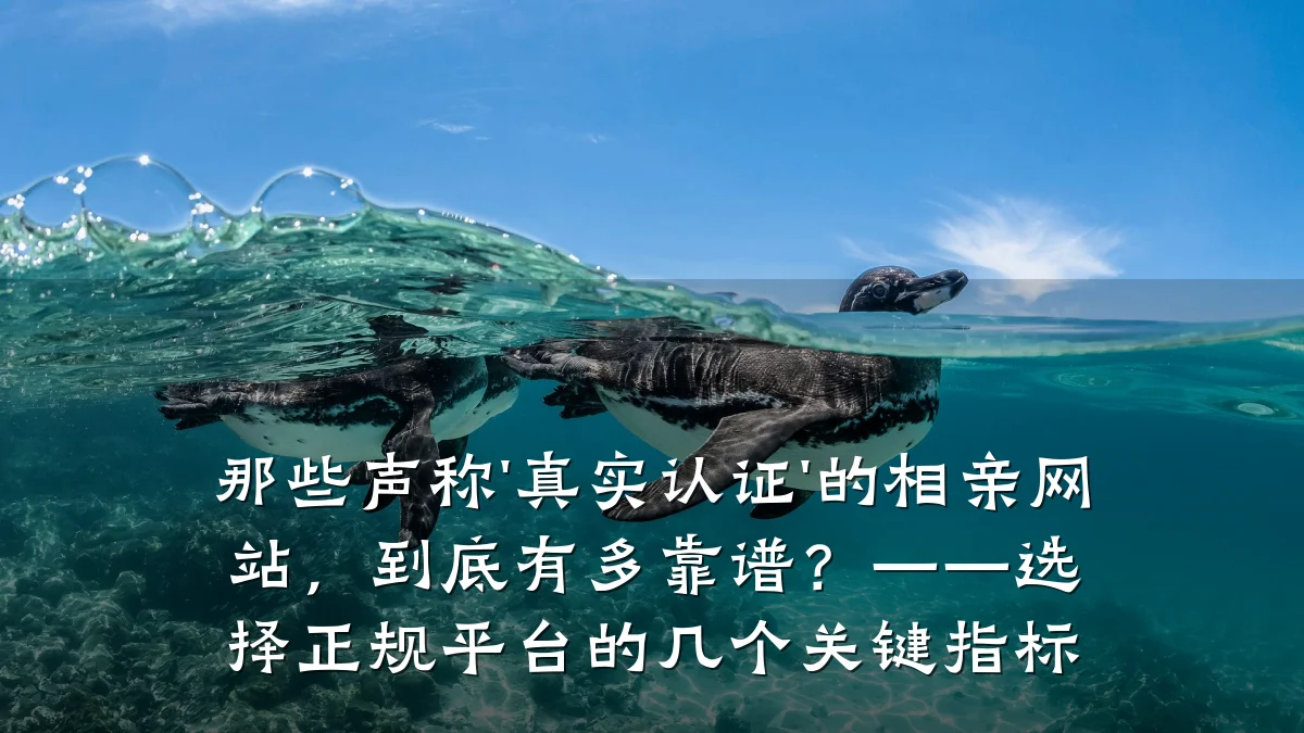 那些声称'真实认证'的相亲网站,到底有多靠谱?——选择正规平台的几个关键指标