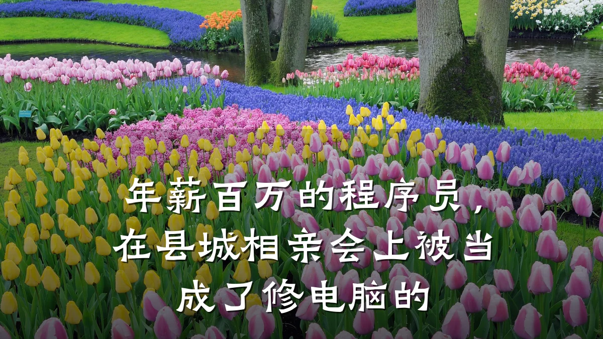 年薪百万的程序员，在县城相亲会上被当成了修电脑的