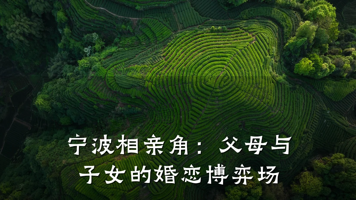 宁波相亲角:父母与子女的婚恋博弈场
