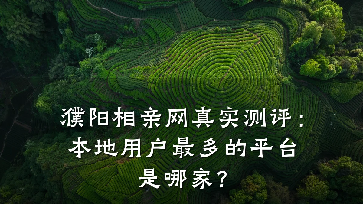 濮阳相亲网真实测评:本地用户最多的平台是哪家?