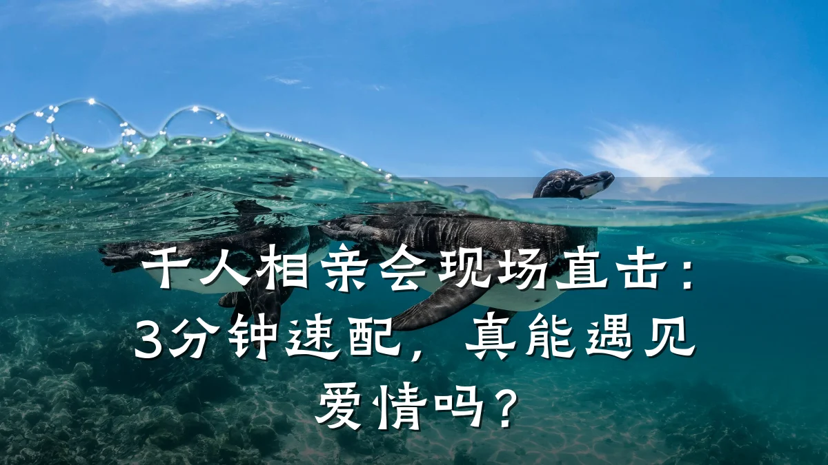 千人相亲会现场直击:3分钟速配,真能遇见爱情吗?