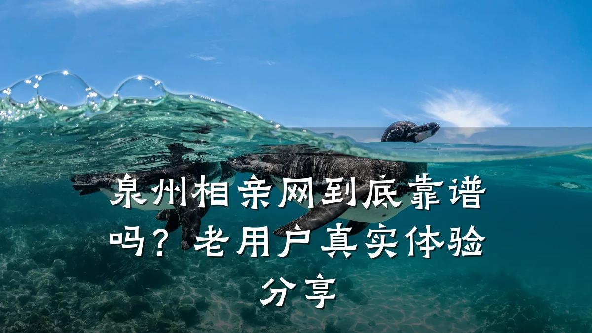 泉州相亲网到底靠谱吗?老用户真实体验分享