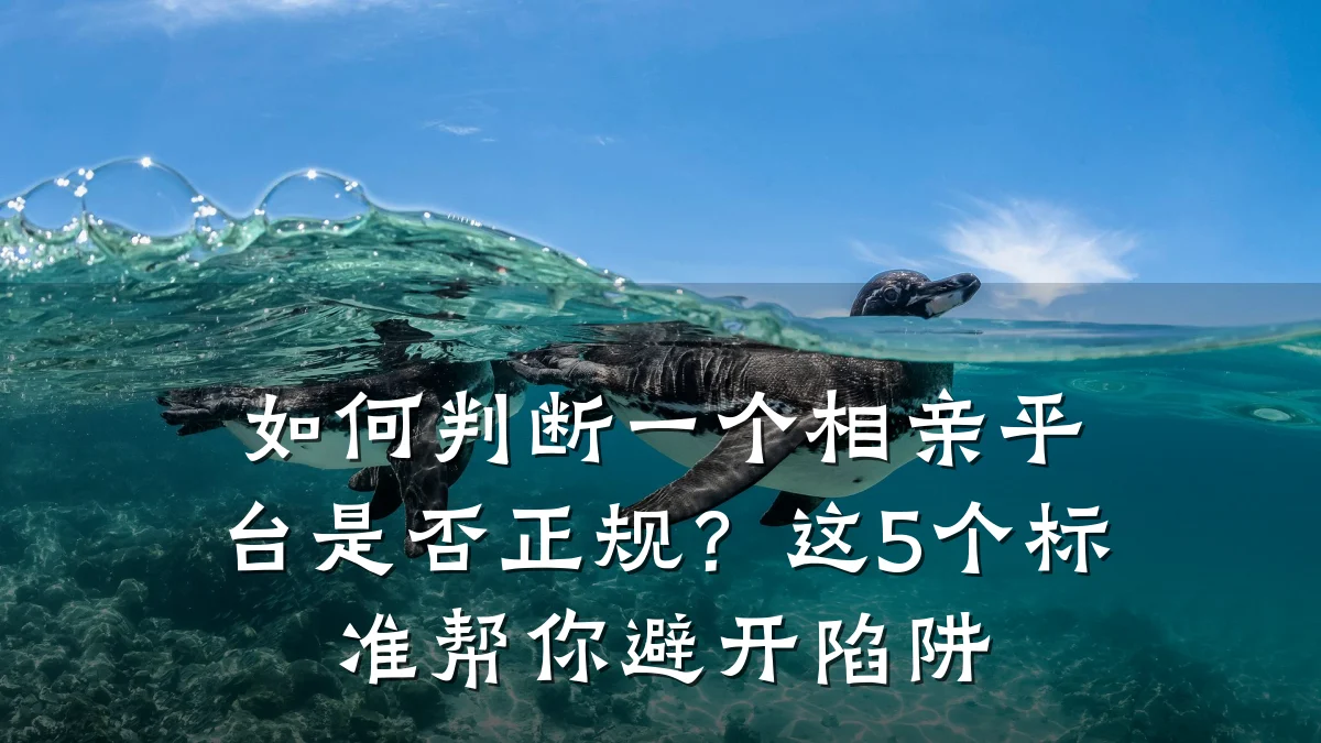如何判断一个相亲平台是否正规?这5个标准帮你避开陷阱