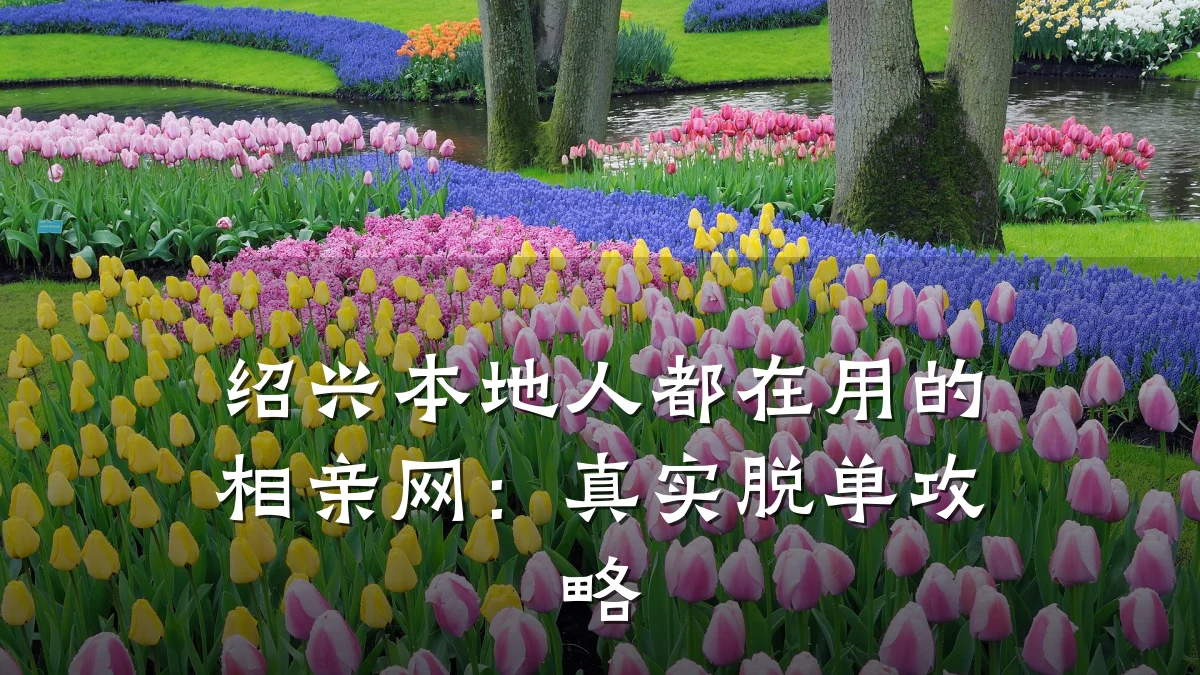 绍兴本地人都在用的相亲网:真实脱单攻略
