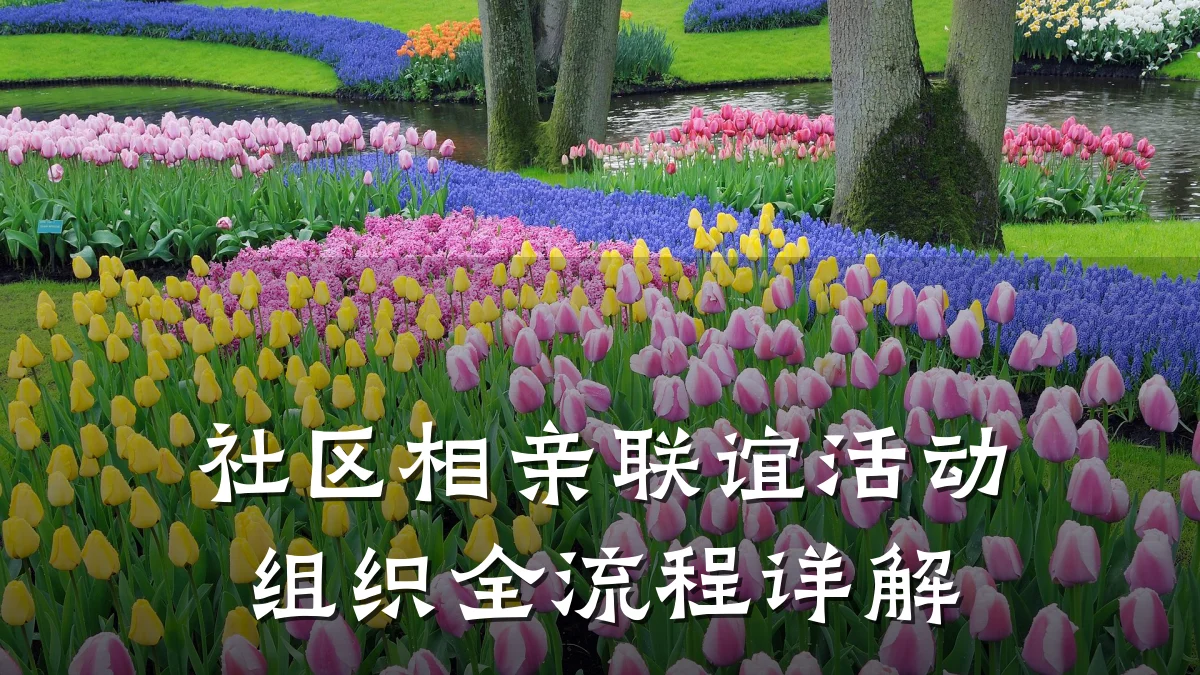 社区相亲联谊活动组织全流程详解