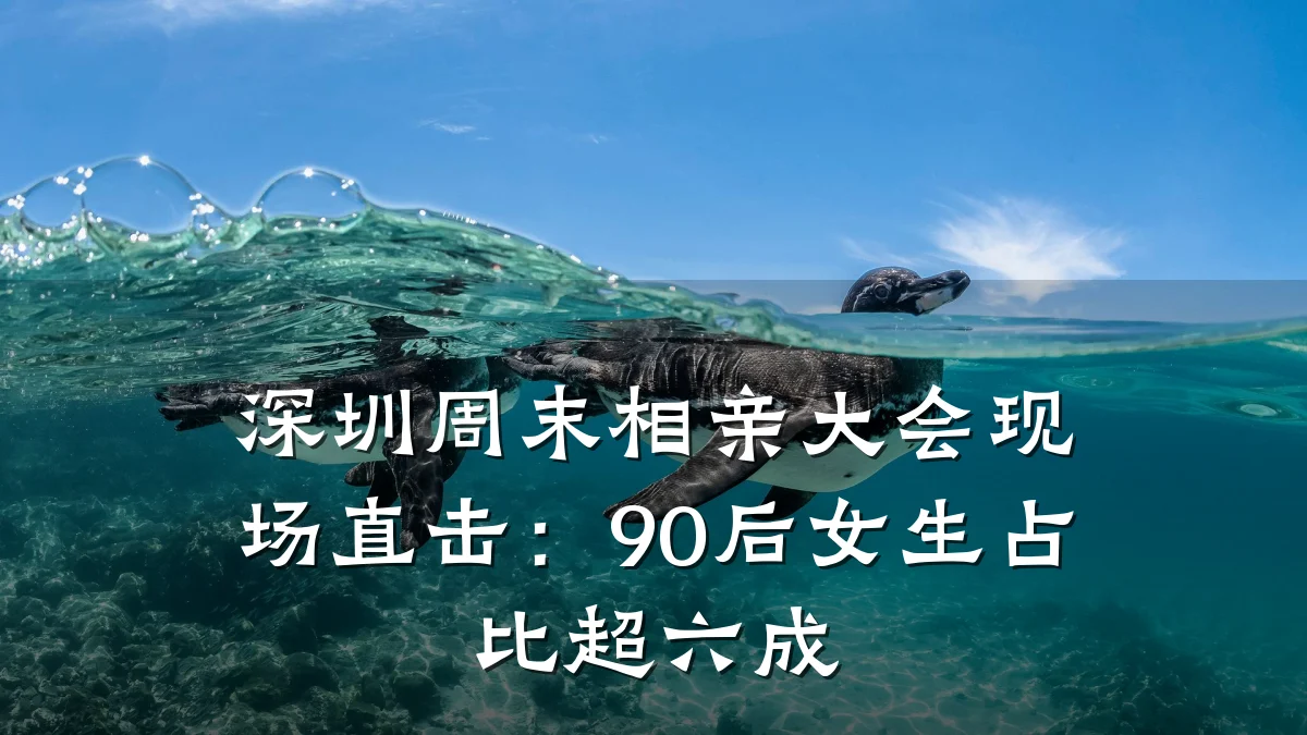 深圳周末相亲大会现场直击:90后女生占比超六成