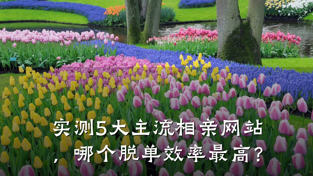 实测5大主流相亲网站,哪个脱单效率最高?