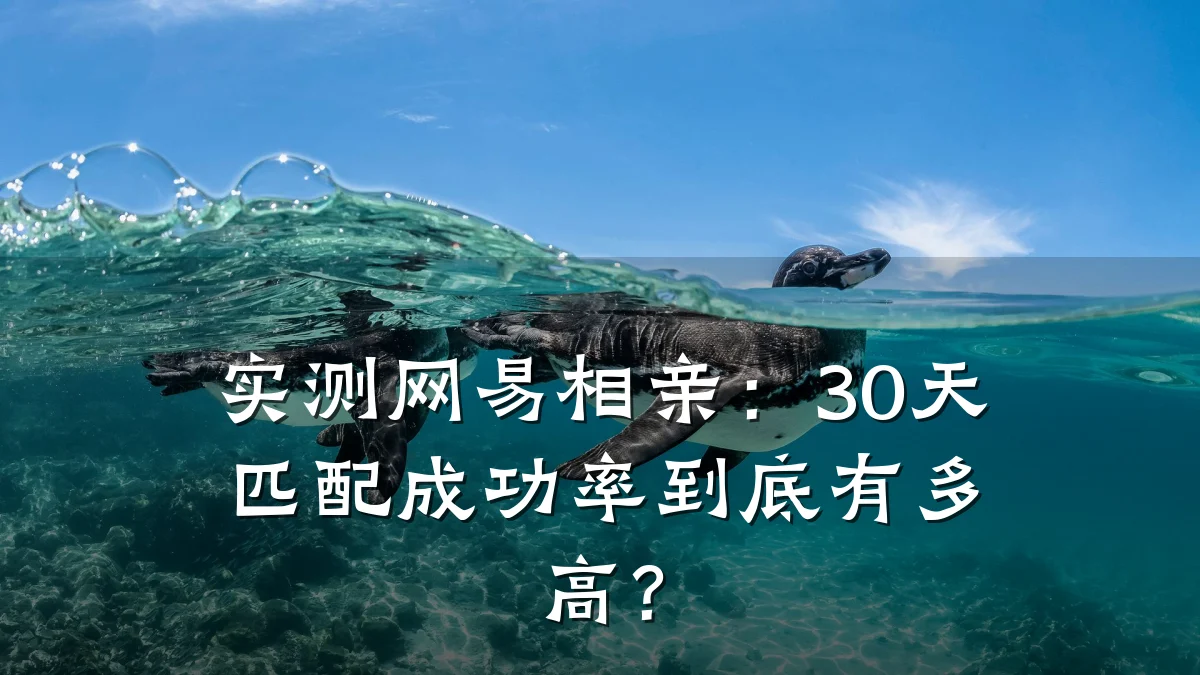 实测网易相亲:30天匹配成功率到底有多高?