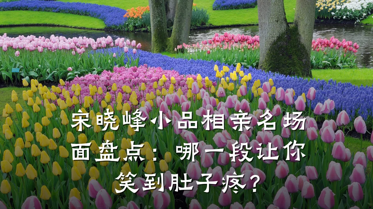 宋晓峰小品相亲名场面盘点:哪一段让你笑到肚子疼?