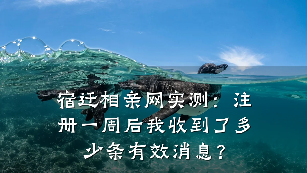宿迁相亲网实测:注册一周后我收到了多少条有效消息?