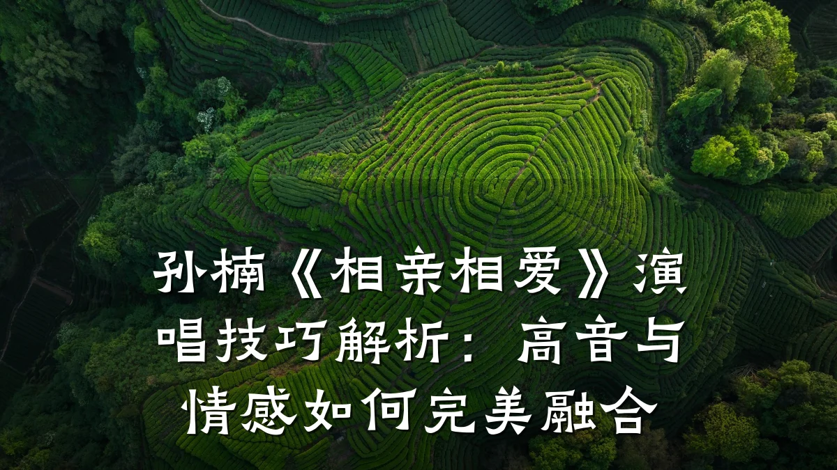 孙楠《相亲相爱》演唱技巧解析:高音与情感如何完美融合