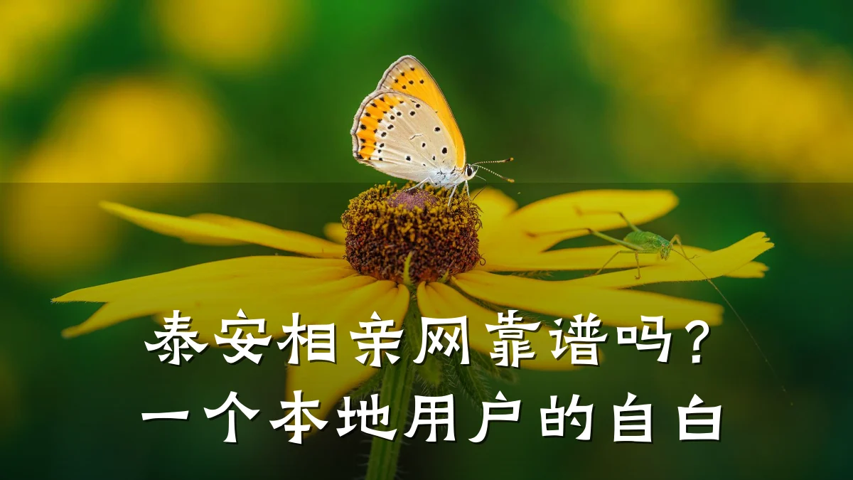 泰安相亲网靠谱吗?一个本地用户的自白