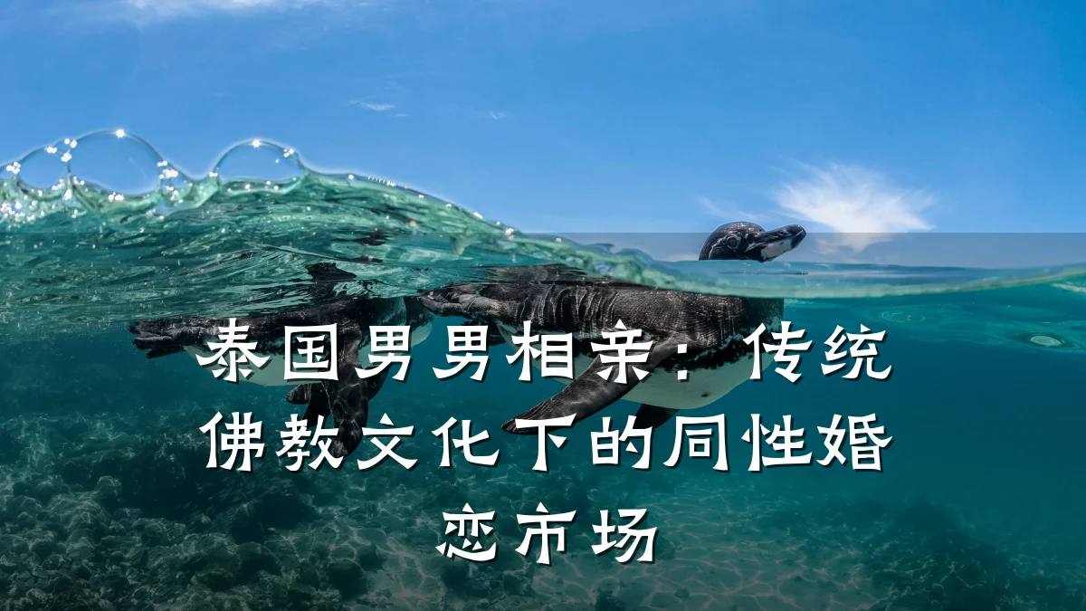 泰国男男相亲:传统佛教文化下的同性婚恋市场