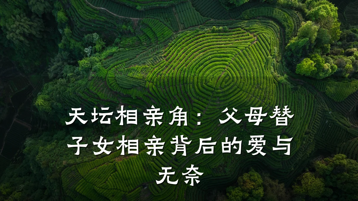 天坛相亲角:父母替子女相亲背后的爱与无奈