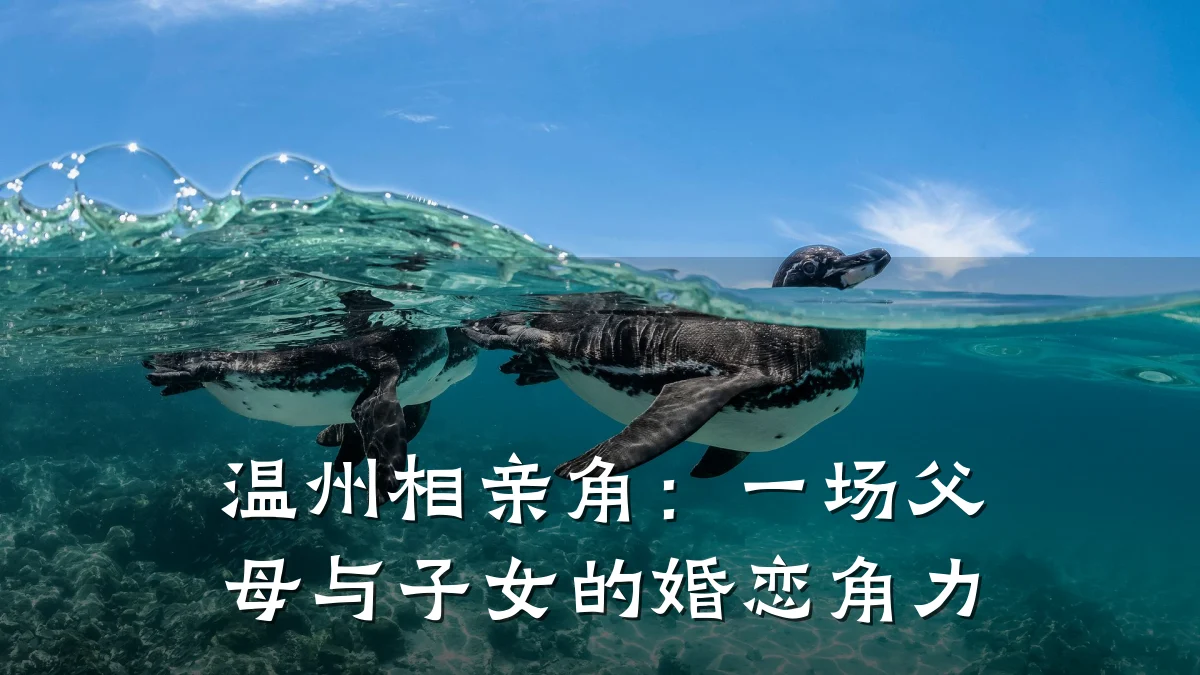 温州相亲角:一场父母与子女的婚恋角力