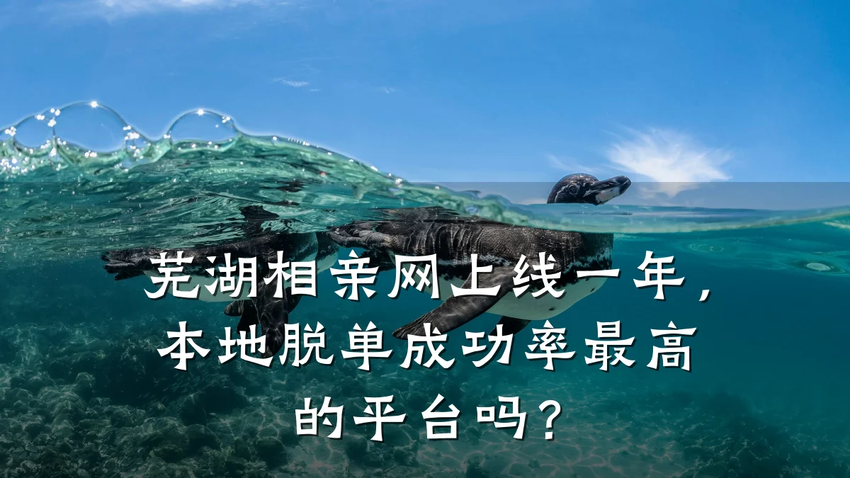 芜湖相亲网上线一年,本地脱单成功率最高的平台吗?