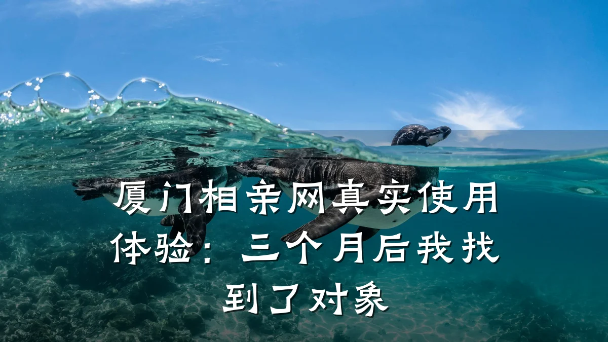 厦门相亲网真实使用体验:三个月后我找到了对象