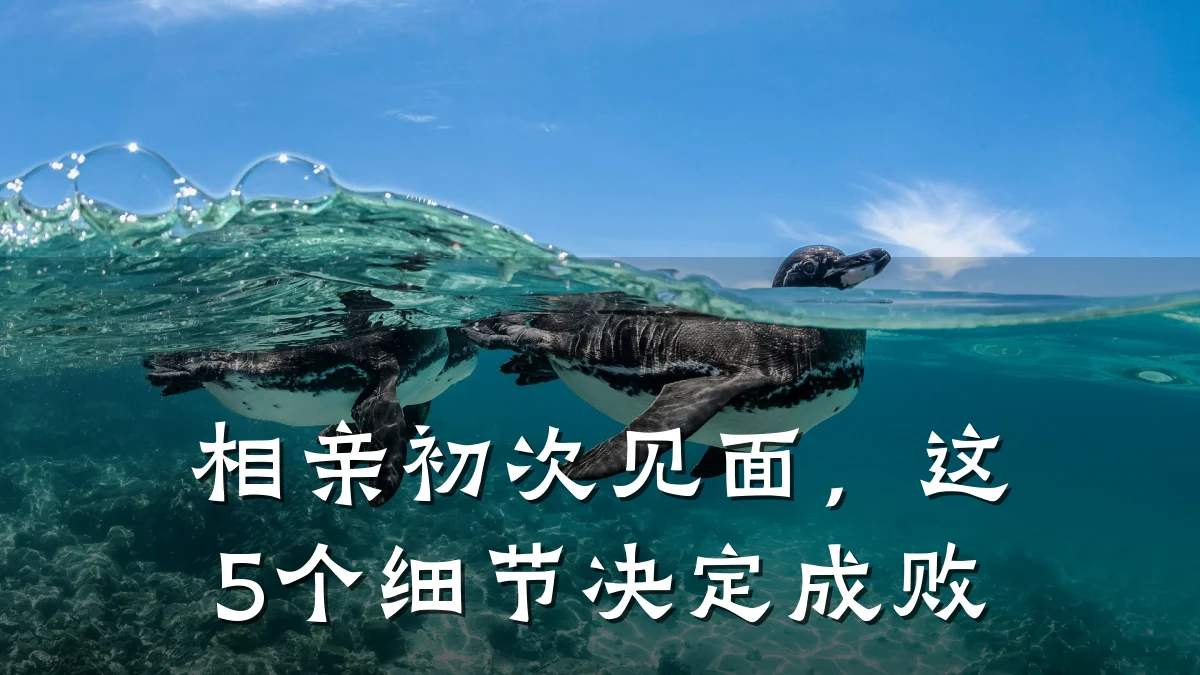 相亲初次见面,这5个细节决定成败