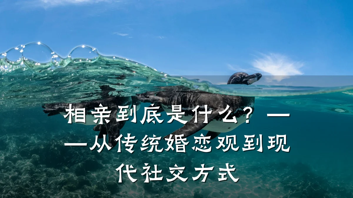 相亲到底是什么?——从传统婚恋观到现代社交方式
