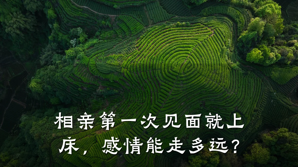 相亲第一次见面就上床,感情能走多远?