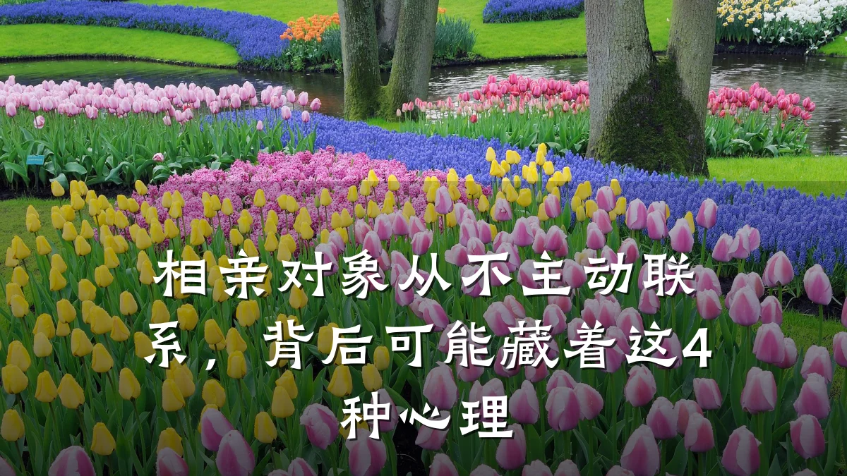 相亲对象从不主动联系,背后可能藏着这4种心理