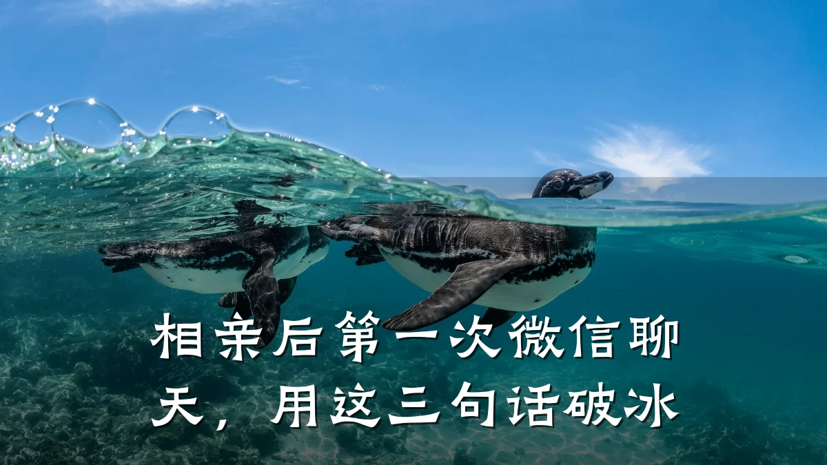 相亲后第一次微信聊天,用这三句话破冰