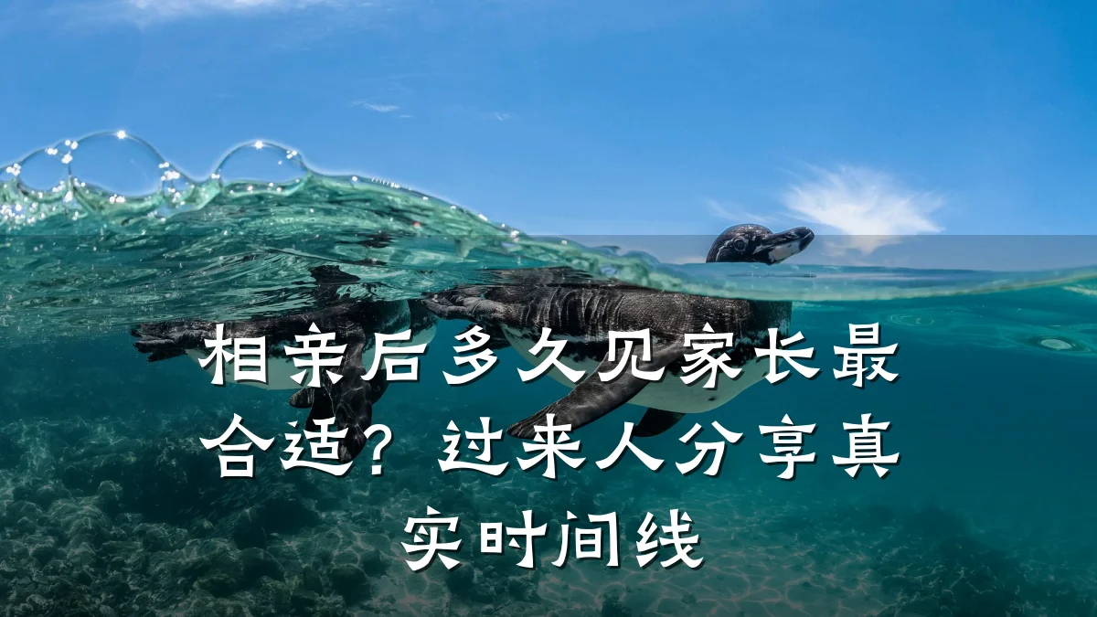 相亲后多久见家长最合适?过来人分享真实时间线