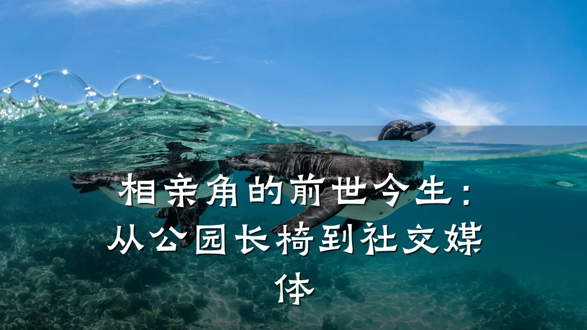 相亲角的前世今生:从公园长椅到社交媒体