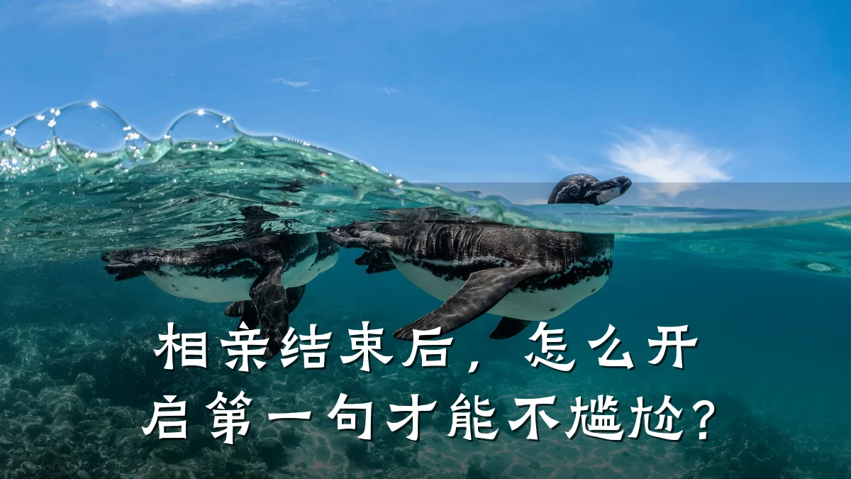 相亲结束后,怎么开启第一句才能不尴尬?